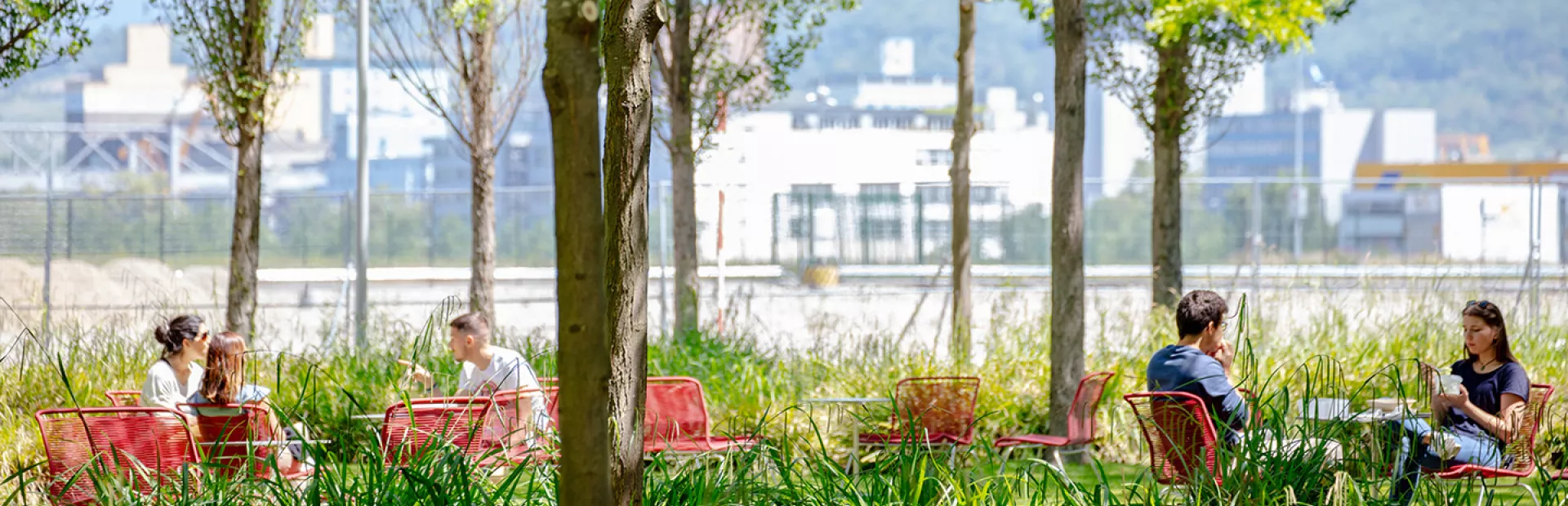 People enjoying lunch together in seating areas surrounded by greenery