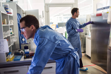 Two scientists at work in a laboratory