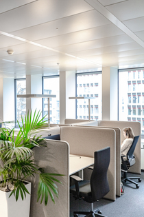 Individual workspaces in the building, with office plants nearby