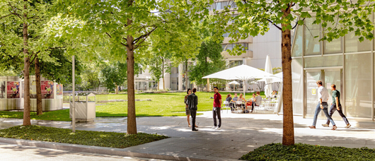 Two people in conversation amongst trees and lawns on campus