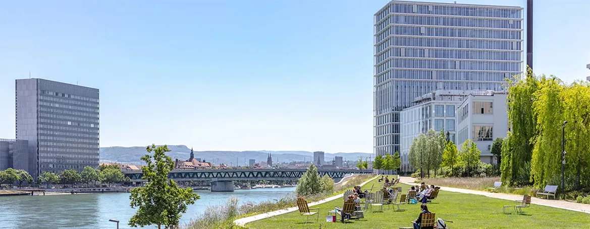 Buildings by the river