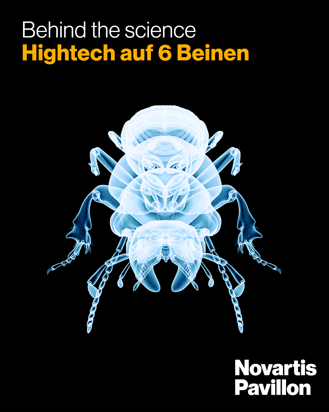 BTS_DE_TEXT