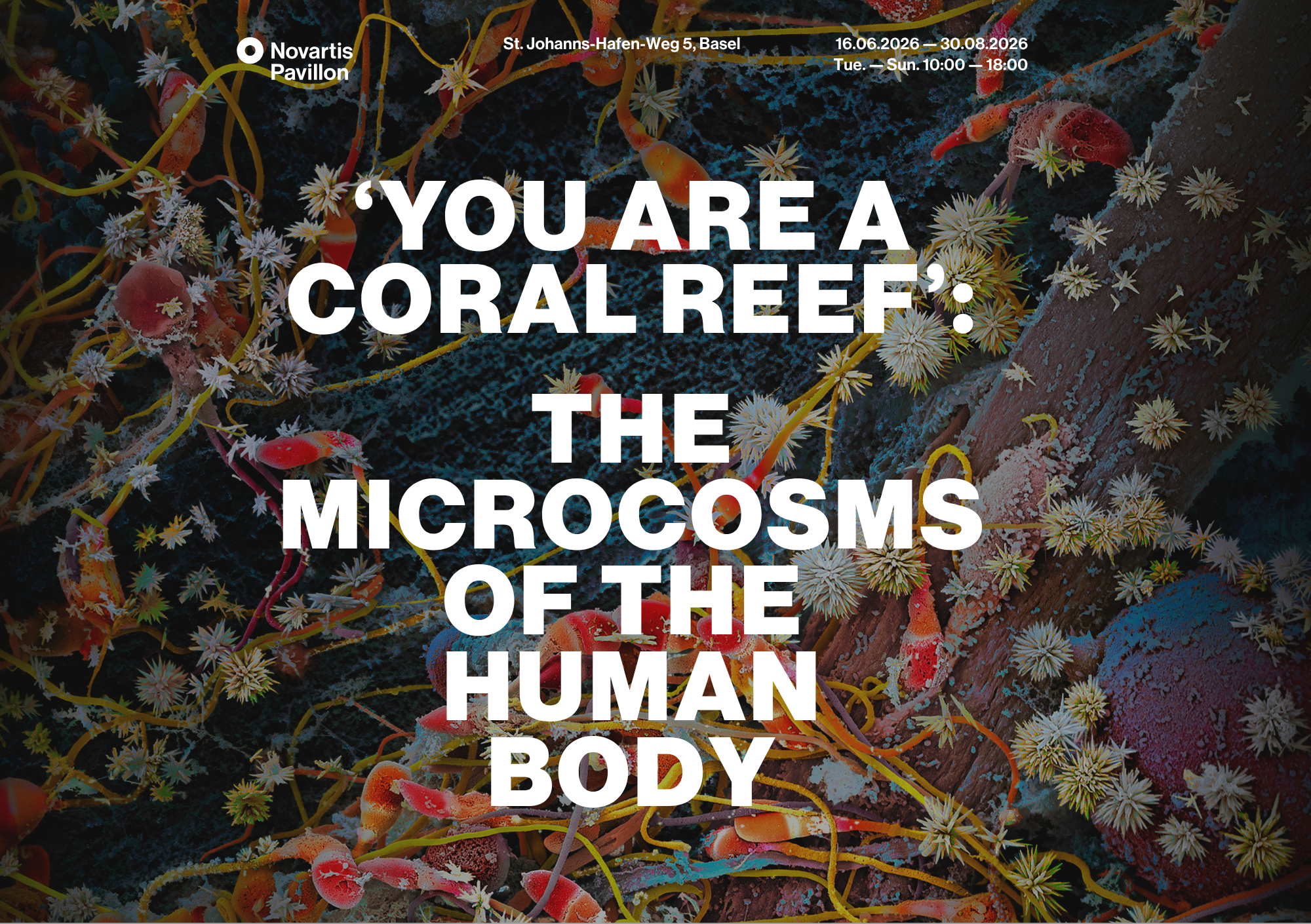 Hero Image You are a coral Reef