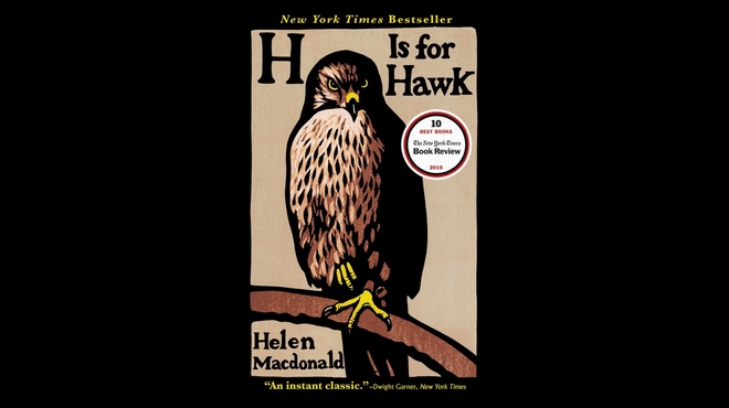 hawk-title